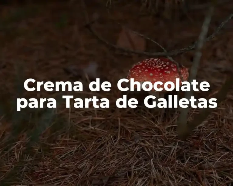 Crema de Chocolate para Tarta de Galletas