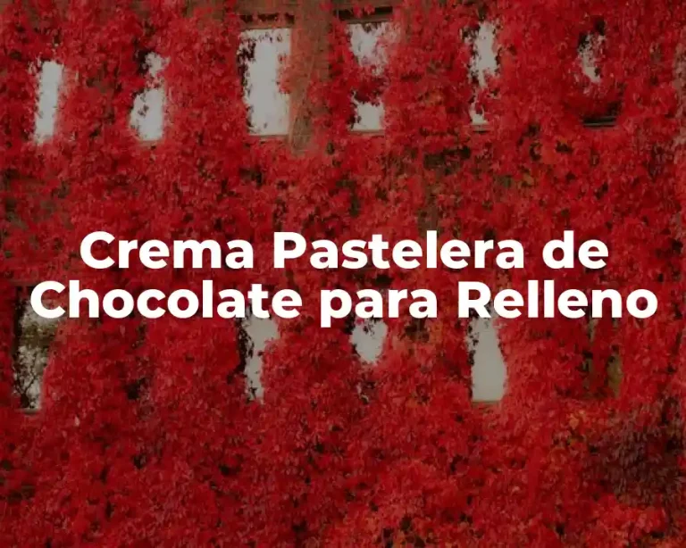 Crema Pastelera de Chocolate para Relleno