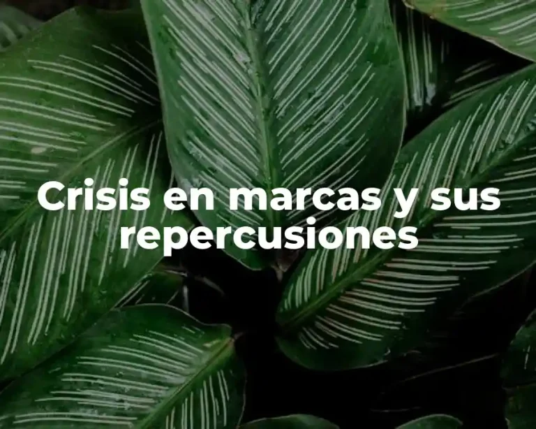 Crisis en marcas y sus repercusiones