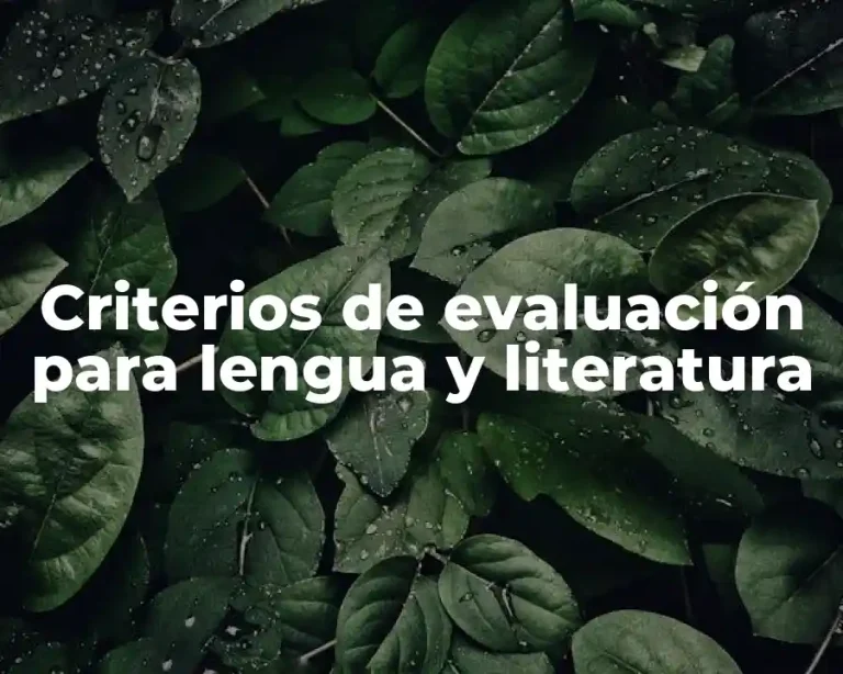 Criterios de evaluación para lengua y literatura