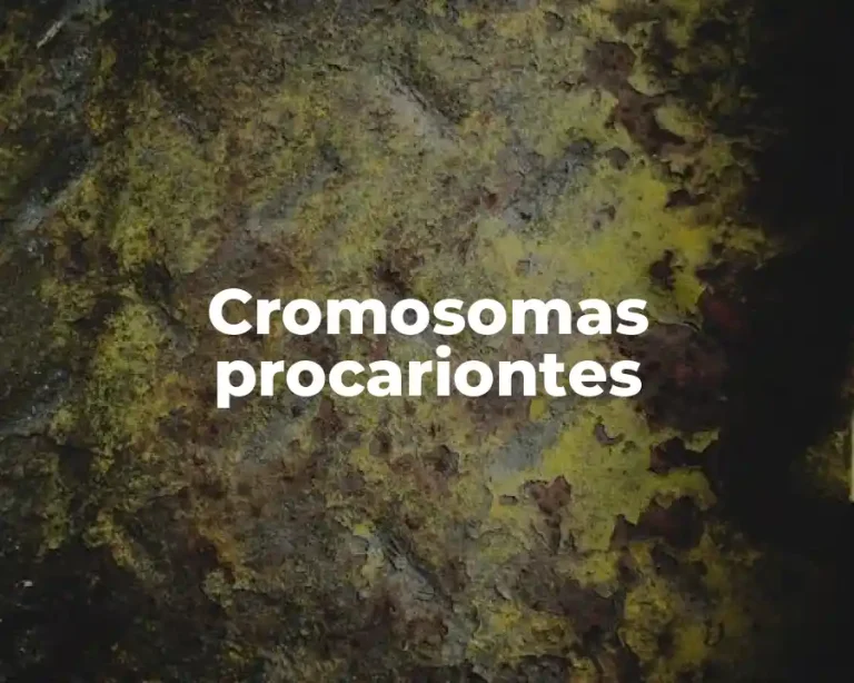Cromosomas procariontes