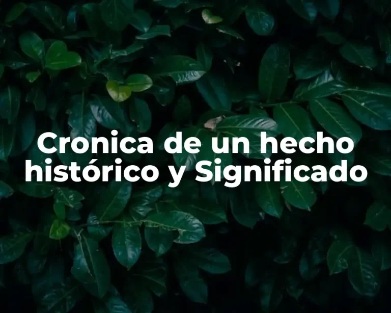 Cronica de un hecho histórico y Significado