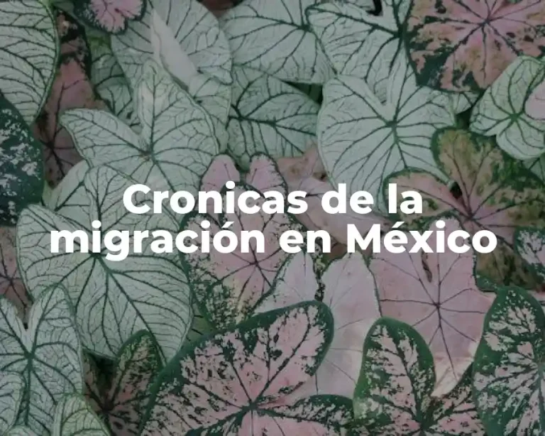 Cronicas de la migración en México