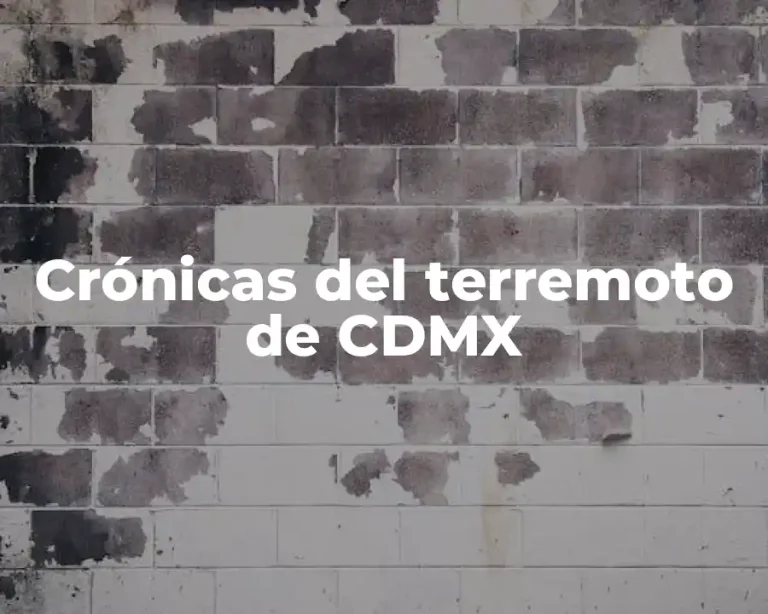 Crónicas del terremoto de CDMX