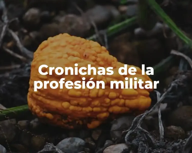 Cronichas de la profesión militar