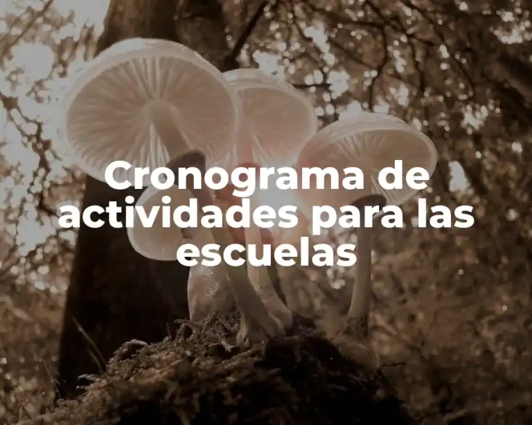 Cronograma de actividades para las escuelas