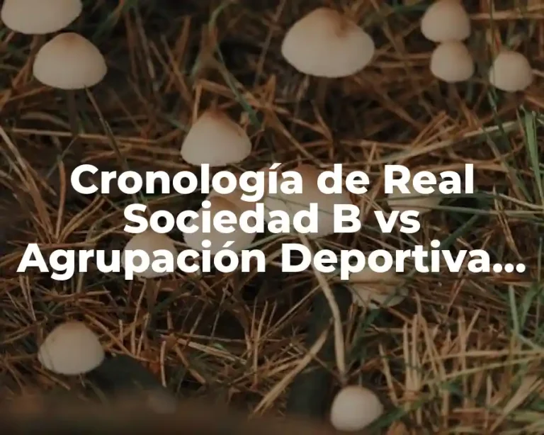 Cronología de Real Sociedad B vs Agrupación Deportiva Alcorcón