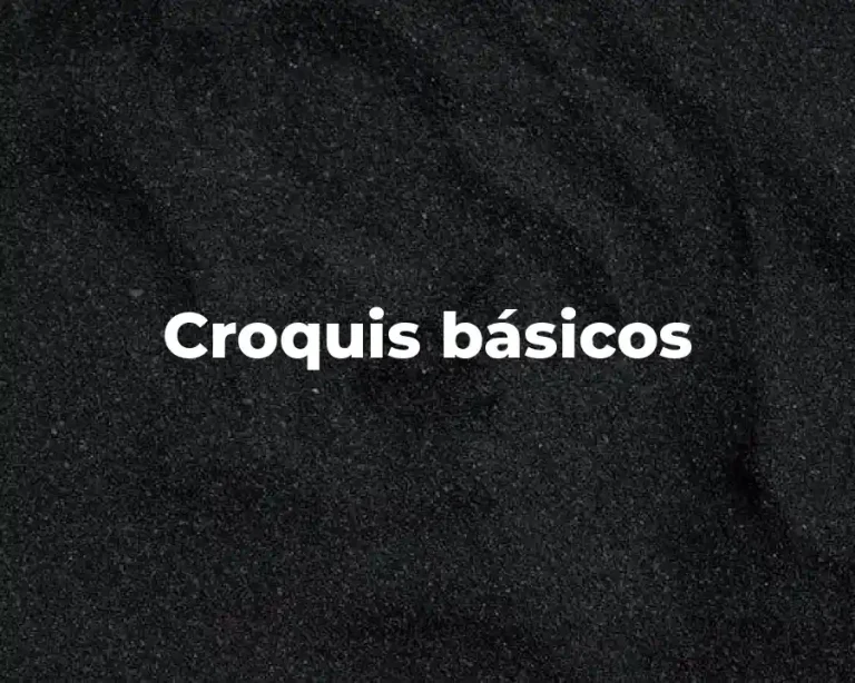 Croquis básicos