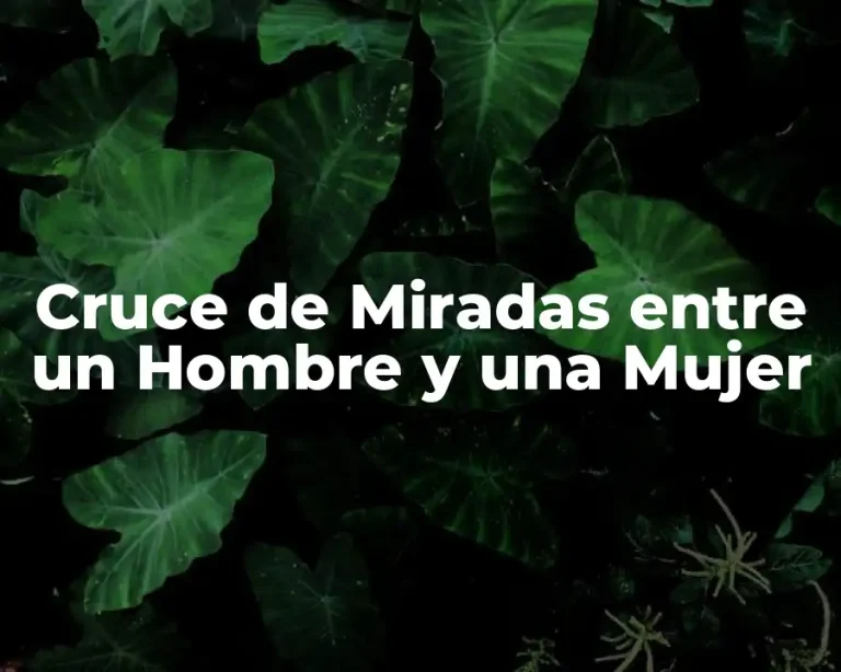 Cruce de Miradas entre un Hombre y una Mujer