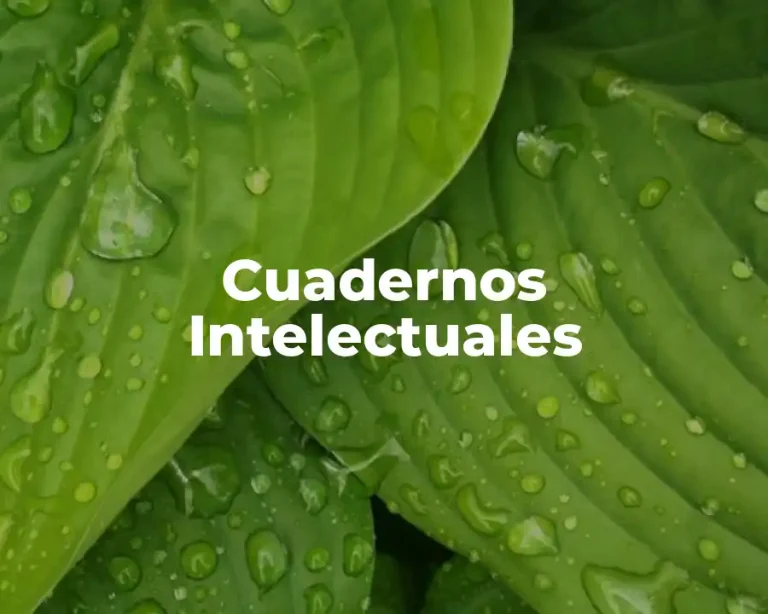 Cuadernos Intelectuales