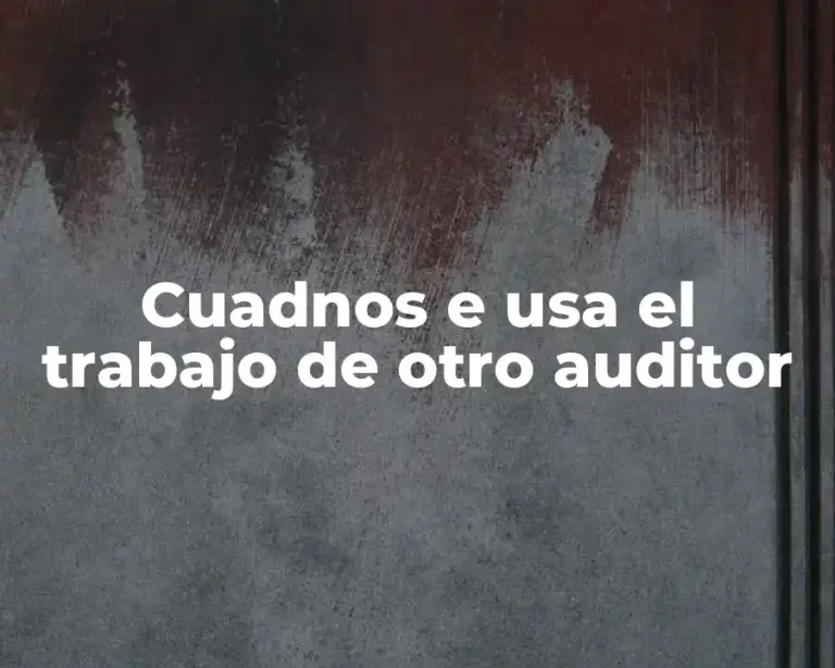 Cuadnos e usa el trabajo de otro auditor