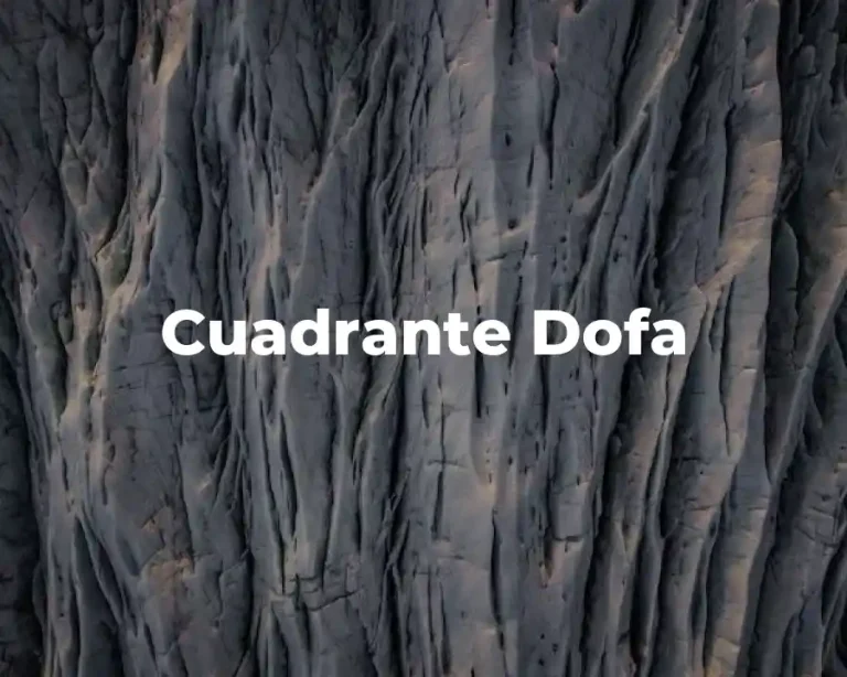 Cuadrante Dofa