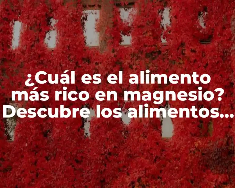 ¿Cuál es el alimento más rico en magnesio? Descubre los alimentos que te brindan una dosis saludable de magnesio