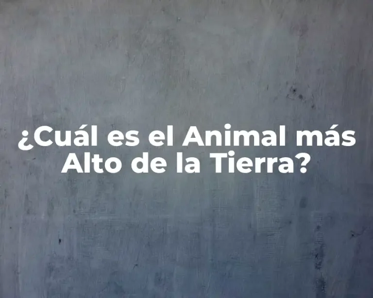¿Cuál es el Animal más Alto de la Tierra?