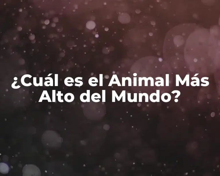 ¿Cuál es el Animal Más Alto del Mundo?