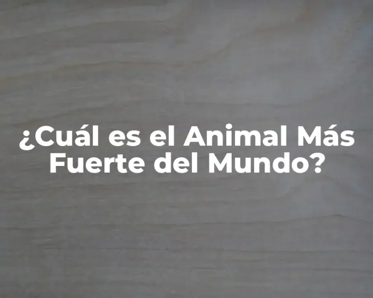 ¿Cuál es el Animal Más Fuerte del Mundo?