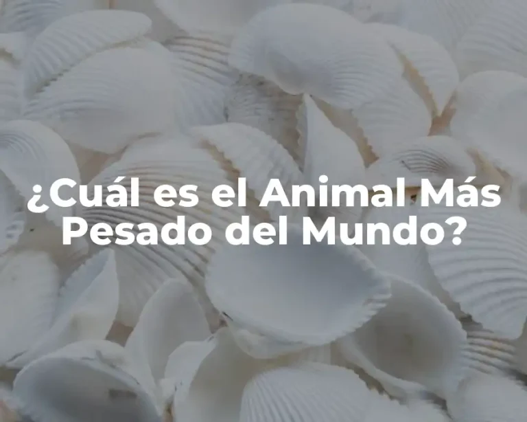 ¿Cuál es el Animal Más Pesado del Mundo?