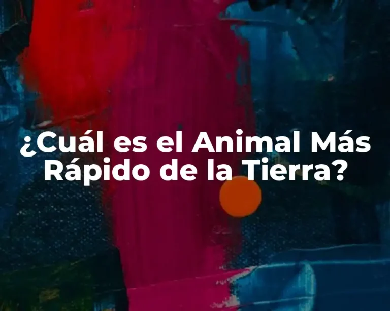 ¿Cuál es el Animal Más Rápido de la Tierra?