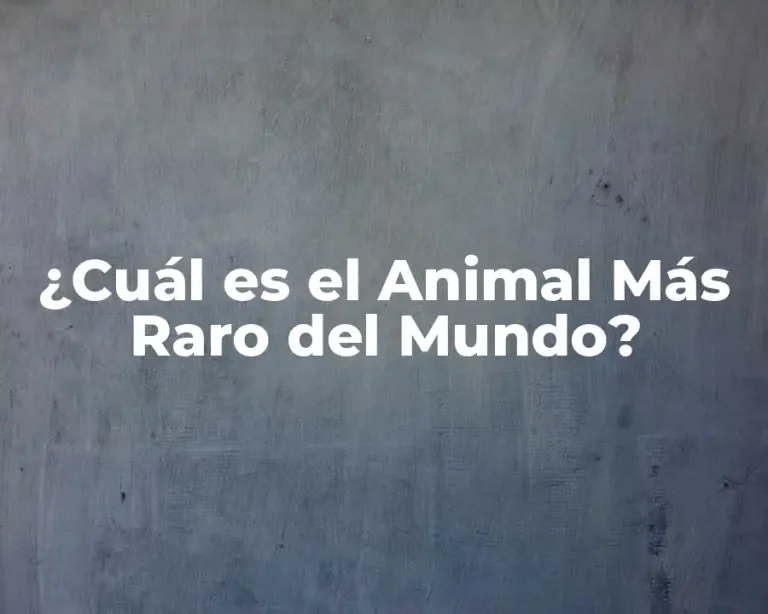 ¿Cuál es el Animal Más Raro del Mundo?