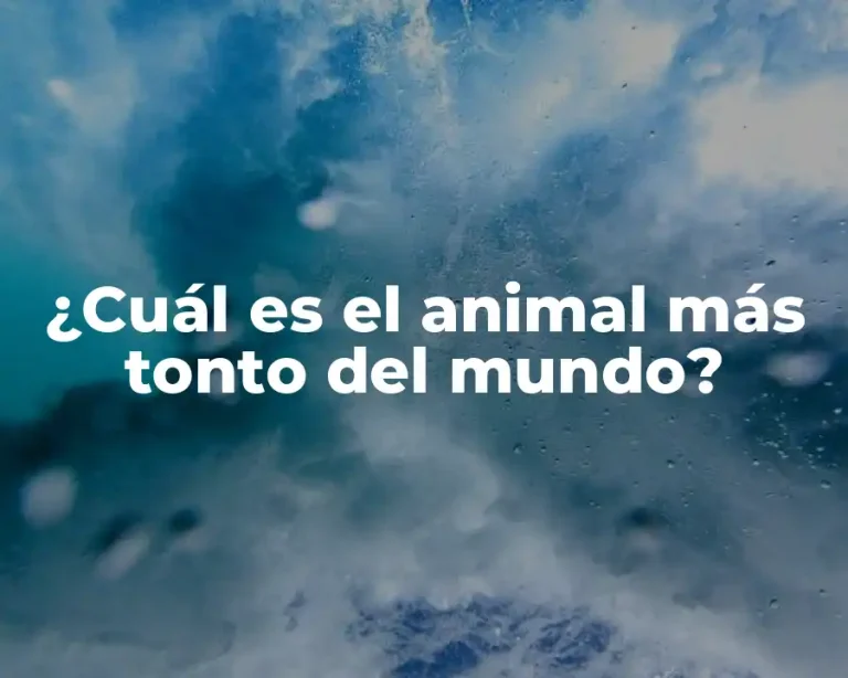 ¿Cuál es el animal más tonto del mundo?