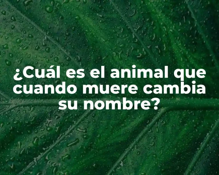 ¿Cuál es el animal que cuando muere cambia su nombre?