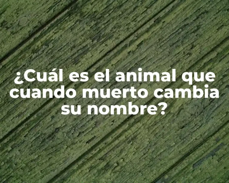 ¿Cuál es el animal que cuando muerto cambia su nombre?