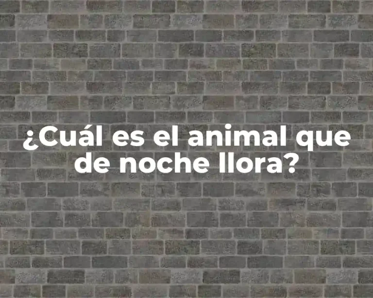 ¿Cuál es el animal que de noche llora?