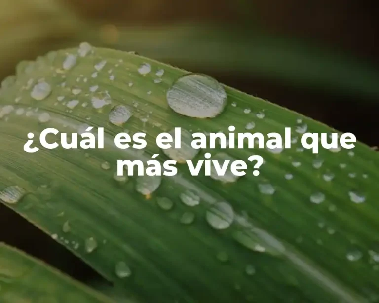 ¿Cuál es el animal que más vive?