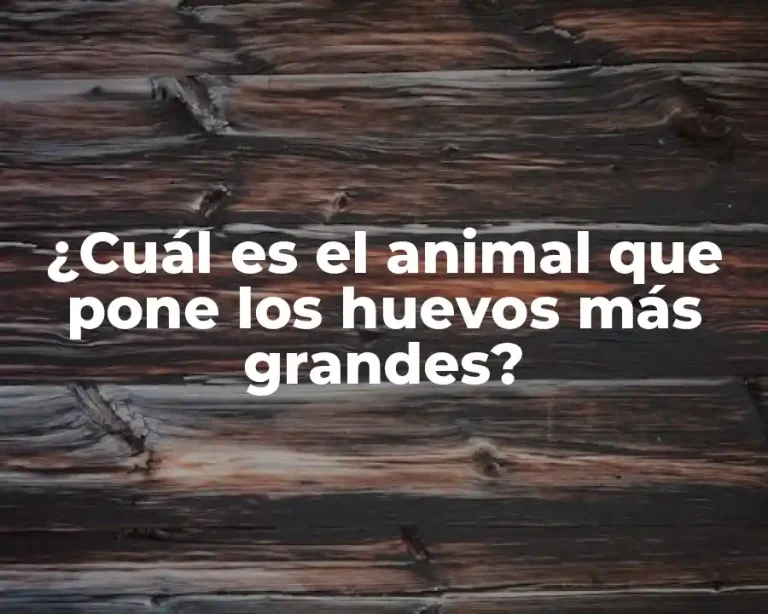 ¿Cuál es el animal que pone los huevos más grandes?