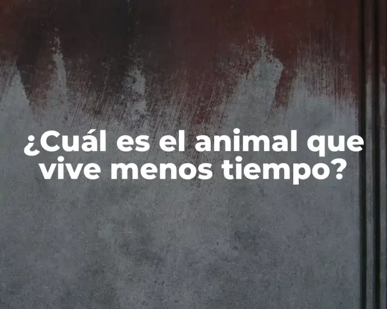 ¿Cuál es el animal que vive menos tiempo?