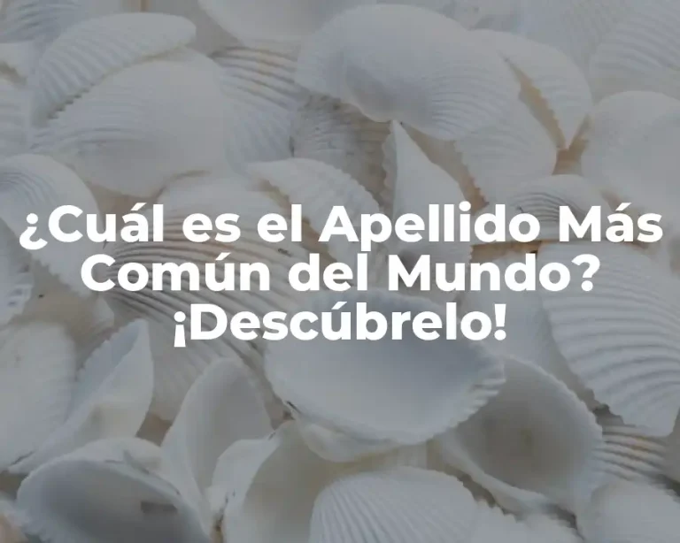 ¿Cuál es el Apellido Más Común del Mundo? ¡Descúbrelo!