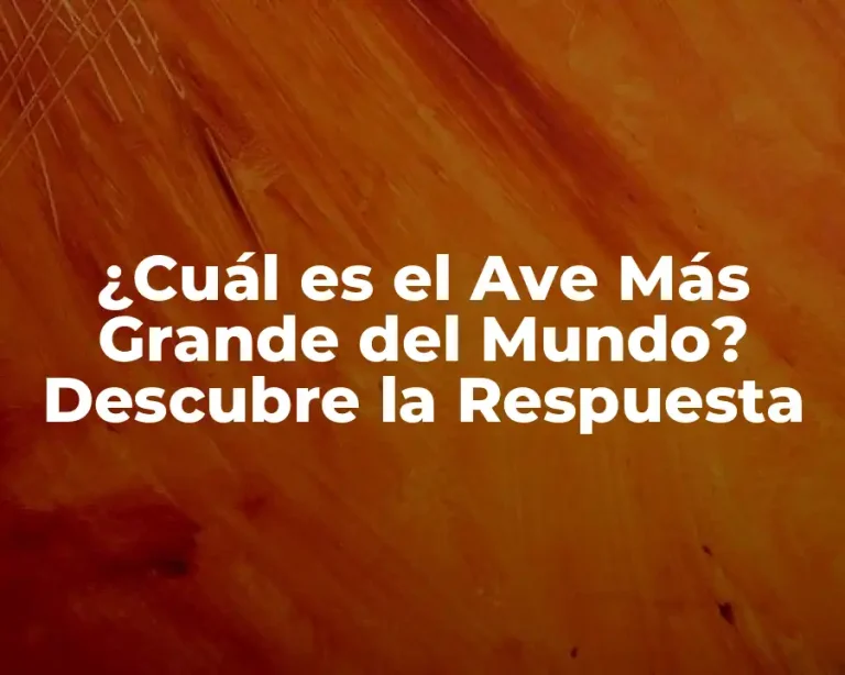 ¿Cuál es el Ave Más Grande del Mundo? Descubre la Respuesta