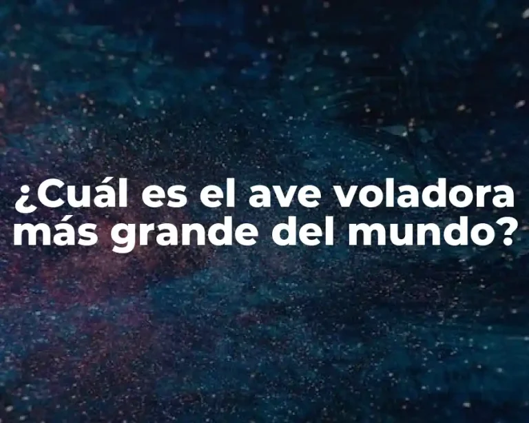 ¿Cuál es el ave voladora más grande del mundo?
