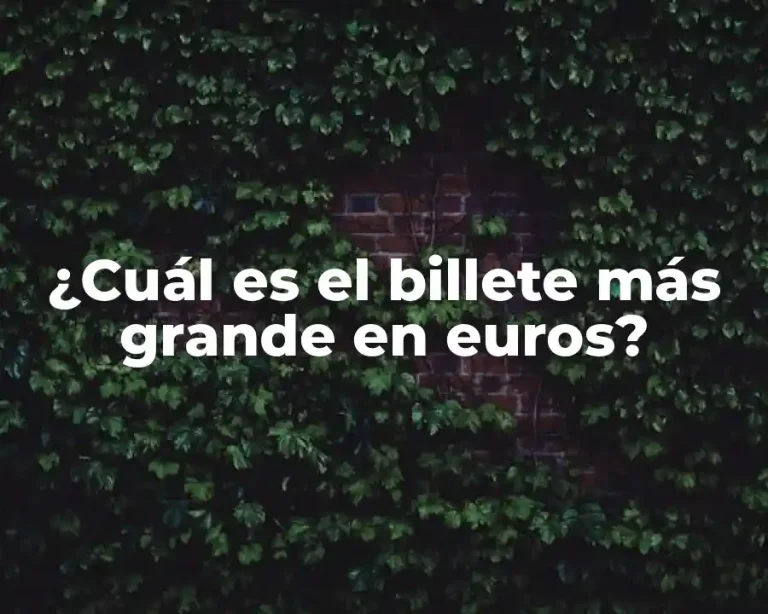 ¿Cuál es el billete más grande en euros?