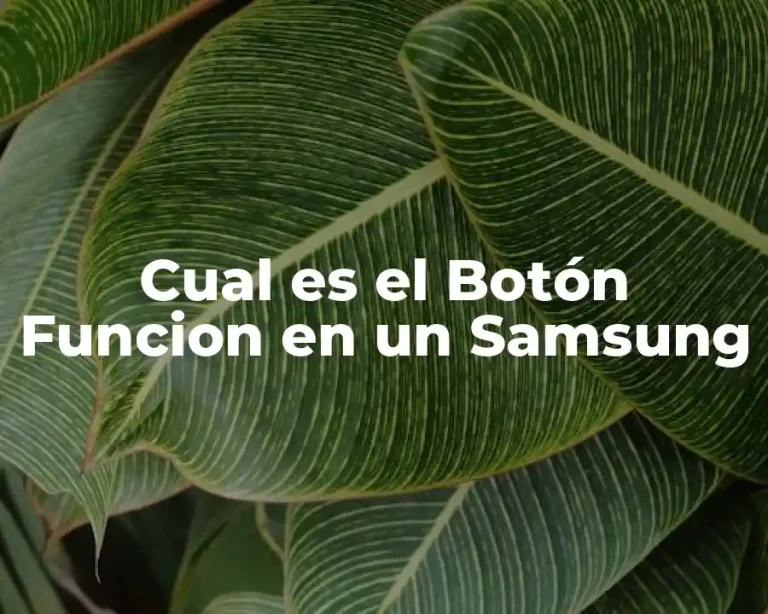 Cual es el Botón Funcion en un Samsung