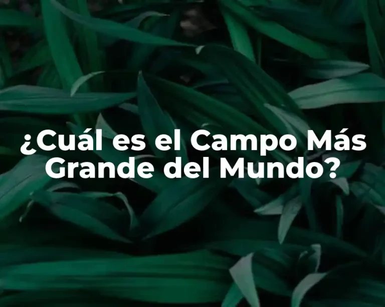 ¿Cuál es el Campo Más Grande del Mundo?