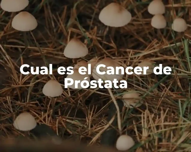 Cual es el Cancer de Próstata