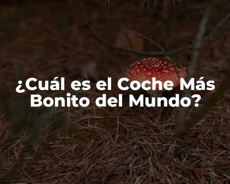 ¿Cuál es el Coche Más Bonito del Mundo?