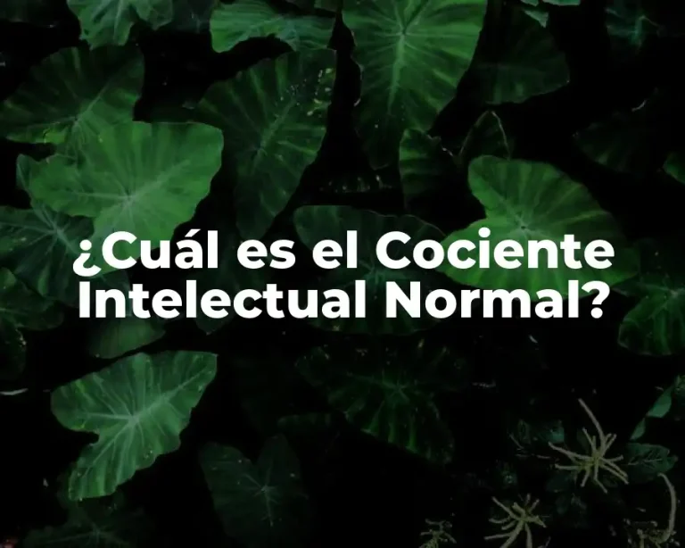 ¿Cuál es el Cociente Intelectual Normal?