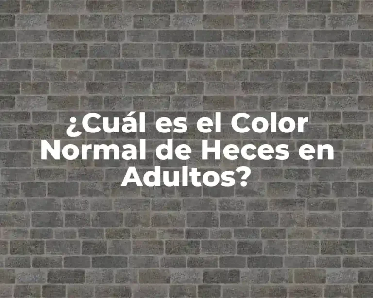 ¿Cuál es el Color Normal de Heces en Adultos?