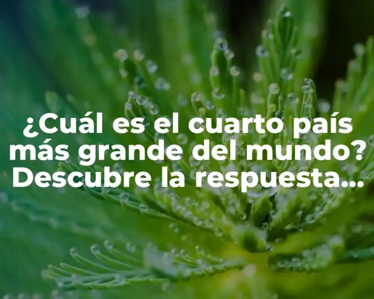 ¿Cuál es el cuarto país más grande del mundo? Descubre la respuesta aquí