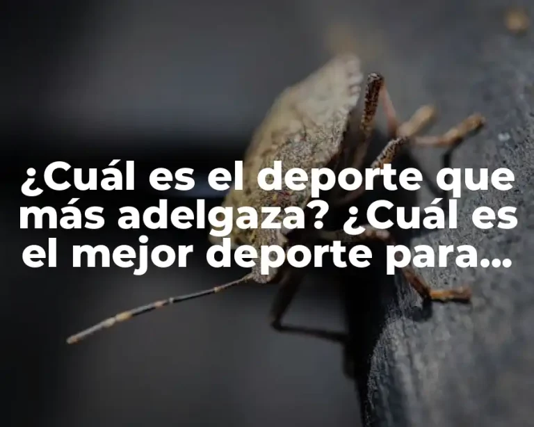 ¿Cuál es el deporte que más adelgaza? ¿Cuál es el mejor deporte para perder peso?