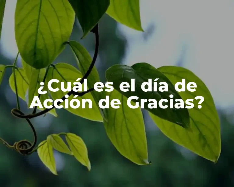 ¿Cuál es el día de Acción de Gracias?