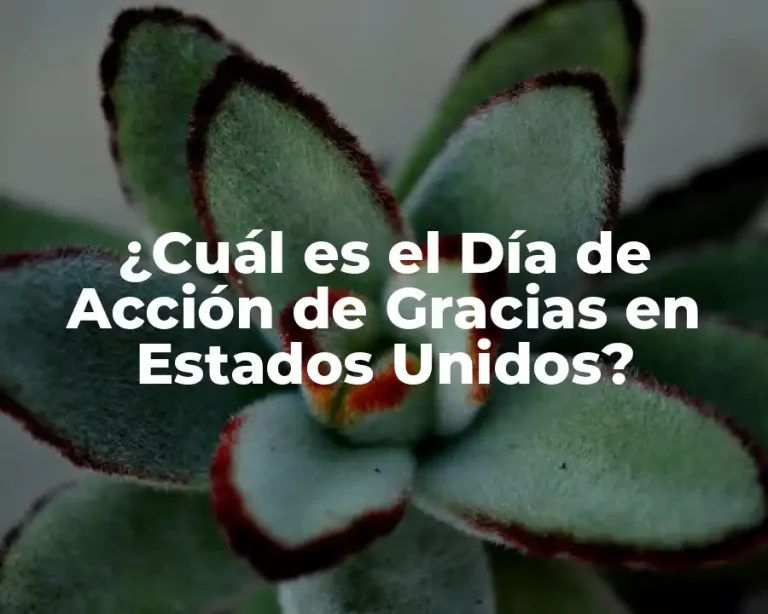 ¿Cuál es el Día de Acción de Gracias en Estados Unidos?