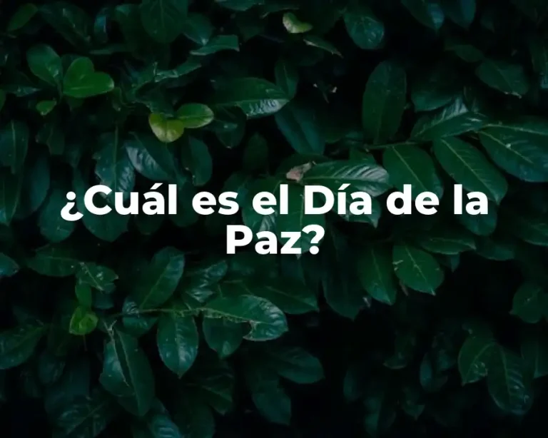 ¿Cuál es el Día de la Paz?