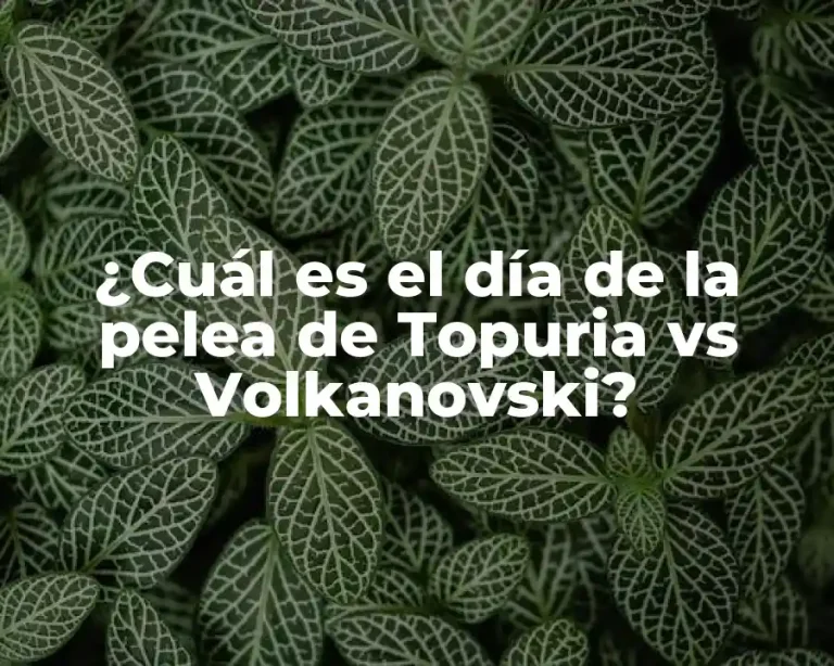 ¿Cuál es el día de la pelea de Topuria vs Volkanovski?