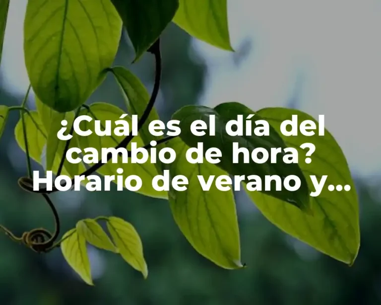 ¿Cuál es el día del cambio de hora? Horario de verano y horario de invierno