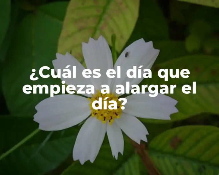 ¿Cuál es el día que empieza a alargar el día?