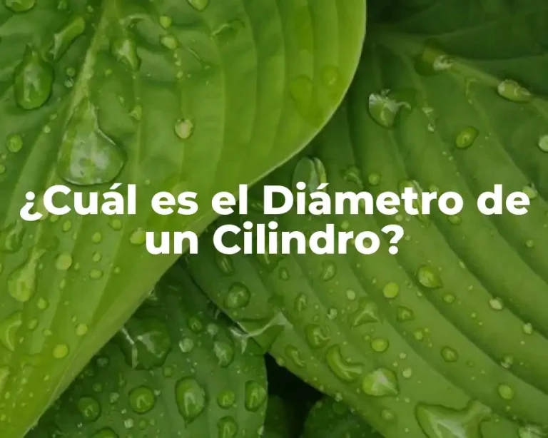 ¿Cuál es el Diámetro de un Cilindro?