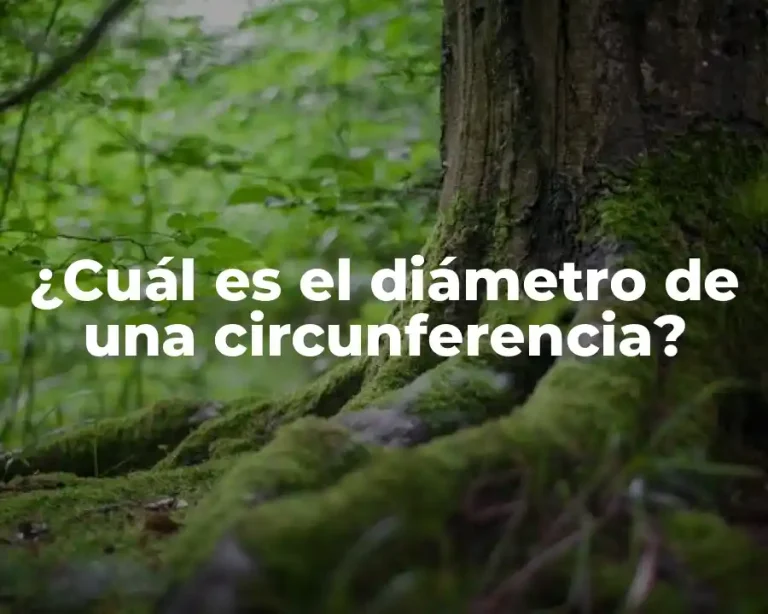 ¿Cuál es el diámetro de una circunferencia?